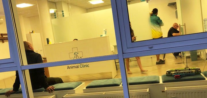 Запис до ветеринара у центрі «ЕнімалКлінік» у Києві. Наводьте вихованця з акції.