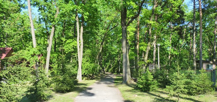 Знижки на базі відпочинку Лісова казка під Києвом11