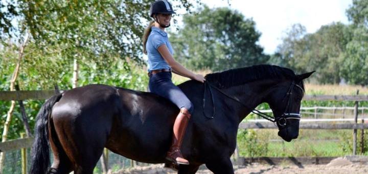 Discounts at the equestrian club &quot;lanzada&quot; 3
