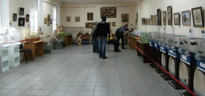 Виставка папуг в Будинку природи в Києві. Бронюйте квитки за акції.