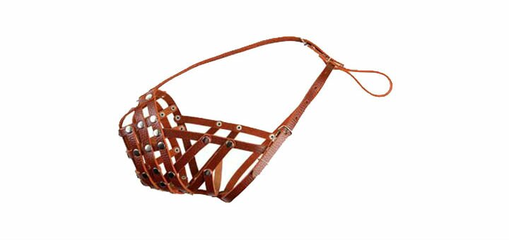 A muzzle with a leather mesh in the «Zoomark» pet store in Kiev. Order by promotion.