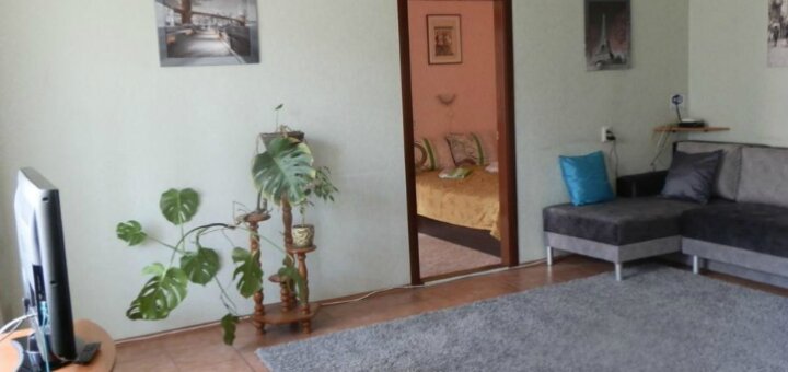 Apartment Artynova 29 (Винница)