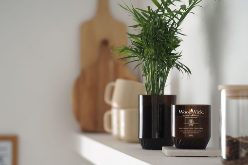 Знижки у магазині Aroma Buro
