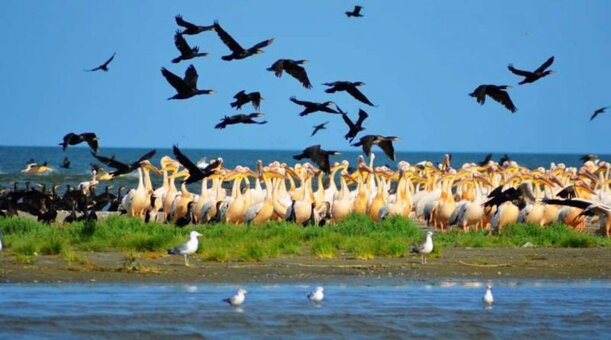 &quot;black sea biosphere reserve&quot;