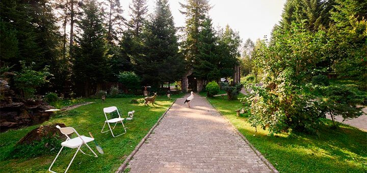 Знижка на відпочинок у садибі казка лісу в сходніце1