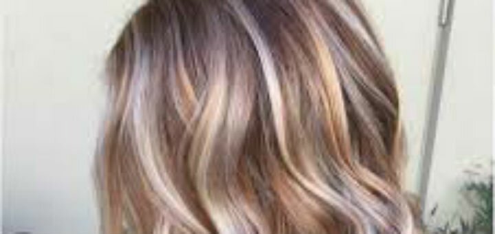 Cosmetology at ledi