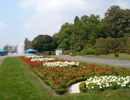 “botanical garden named after n. n. grishko »kiev