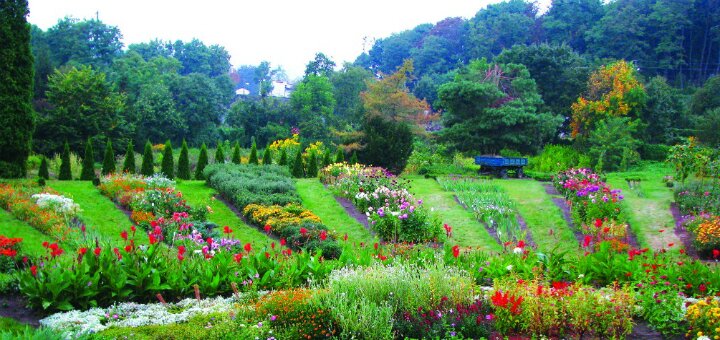 “botanical garden named after n. n. grishko »kiev