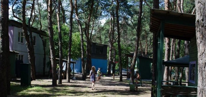 Recreation center "Green Light" in Obukhovka at a discount. Inexpensive rest near the Dnieper.