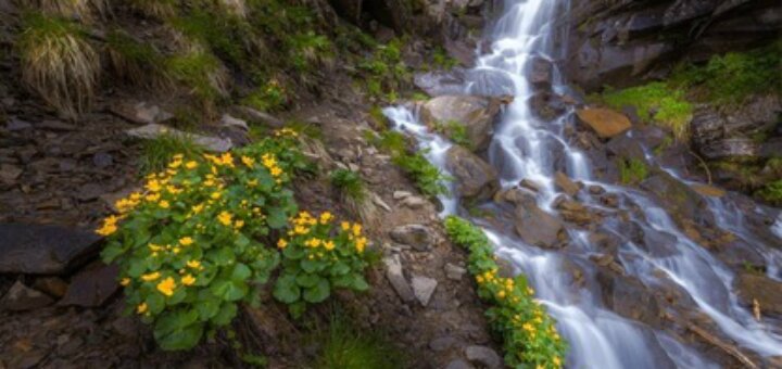 «Дзембронский водопад»