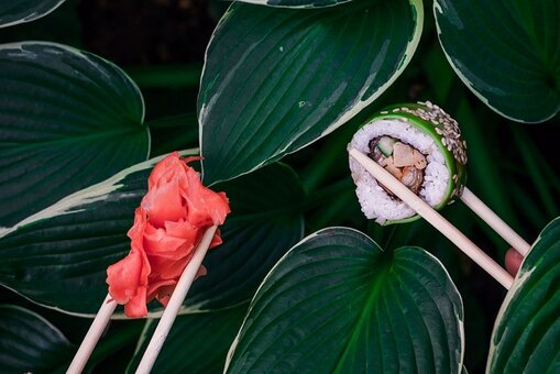 Суші, доставка суші «nori», японська кухня, знижки, акції