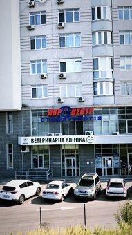 Стоматологическая клиника «Хелси Денистри» в Киеве. Записаться по акции.
