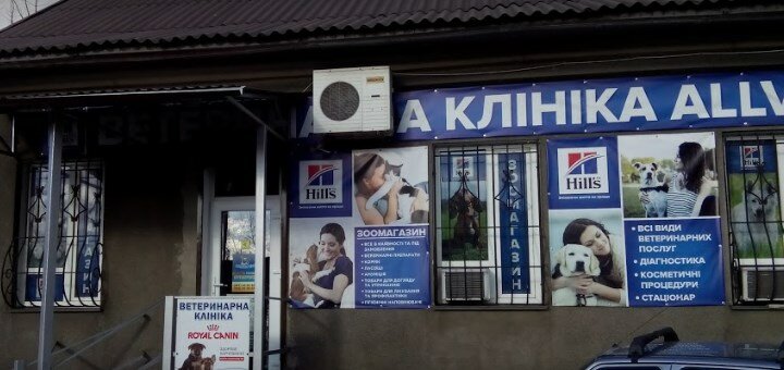 Акционное предложение в Ветеринарной клинике ALLVET-ZOO