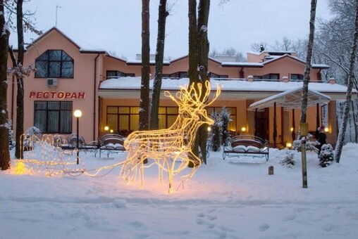 Hotel Zeleny Guy in Kopachovka. Rest on promotion 4