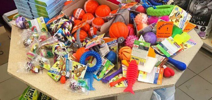 Discounts pet shop &quot;zoo box&quot;