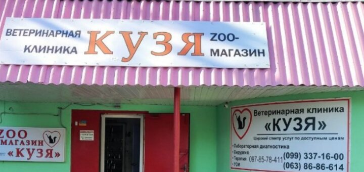 Низкие цены ветклиника , зоомагазин «Кузя»