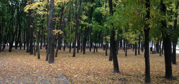 «парк інтернаціональний» київ