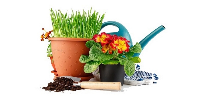 Products for the garden and vegetable garden in the shop «Shopde». Buy at a discount.