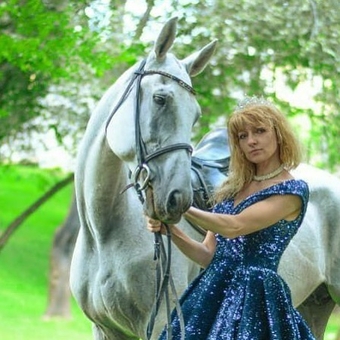 Кінний клуб Мустанг в Харкові.
