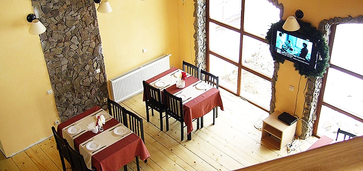 Manor &quot;lion&quot; in the carpathians. book with promotion 7