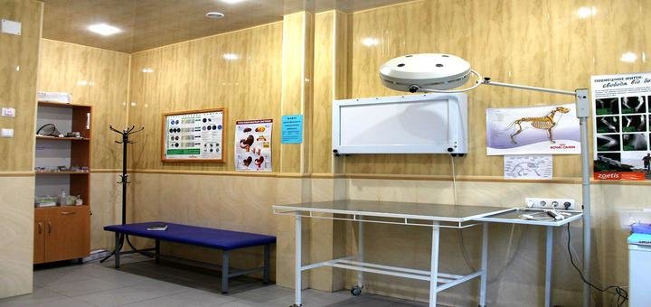 Promotions in the veterinary clinic "VetMir"