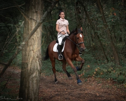 кінний клуб Family_horse_club вартість