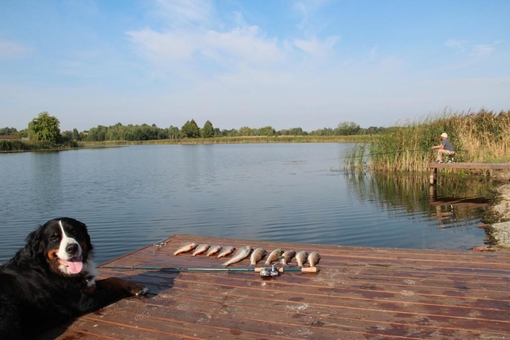 Eden resort hotel near Kiev. Book with Promotion 84