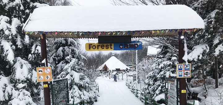 Готель Forest Camp у Мигово. Відвідуйте по акції 17