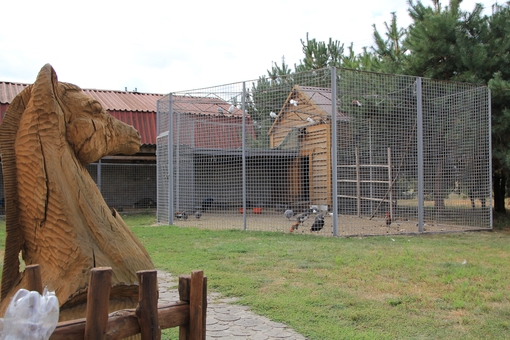 Horse yard Leleki 3