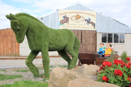 Horse yard Leleki 6