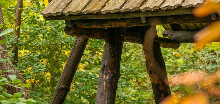 Беседки Нью Васюки в Одессе. Посещайте по акции 7