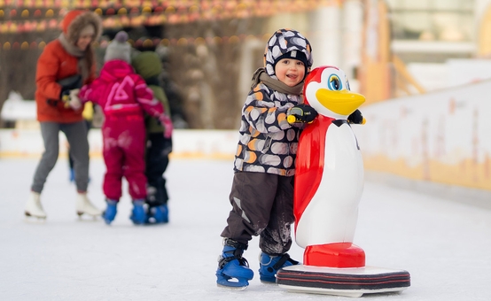 Skating rink at VDNG