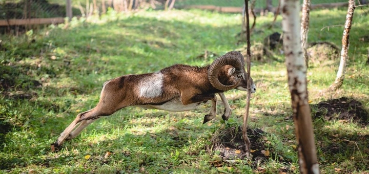 Yasnogorodka Family Ecopark near Kyiv