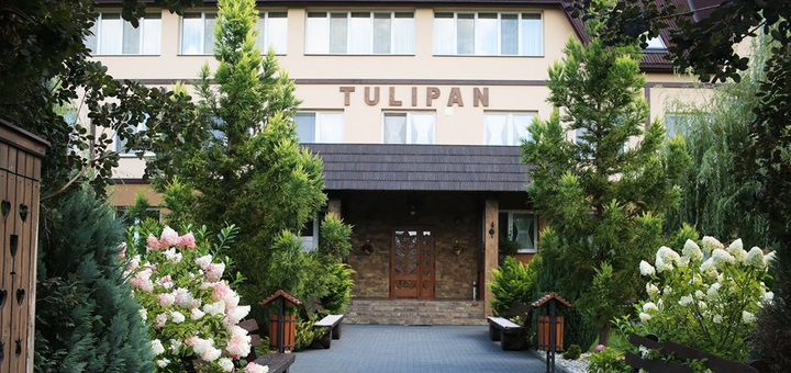 Hotel Tulip in Zakarpattia. Rest on the special offer 17