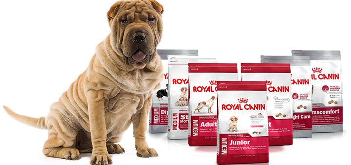 Знижки на корм для собак від «royal canin»