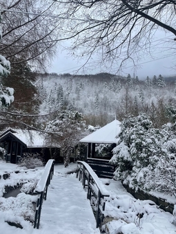 Парк-готель Svyat. Бронюйте за акцією 30