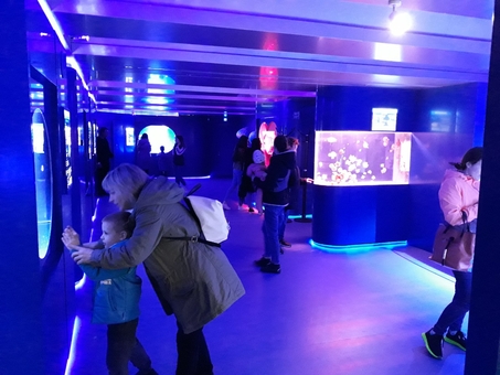 Музей медуз в Киеве. Посещайте по акции 6