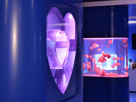 Музей медуз в Киеве. Посещайте по акции 7