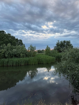 Guesthouse Pristan in the Odessa region. Visit with a special offer of 16