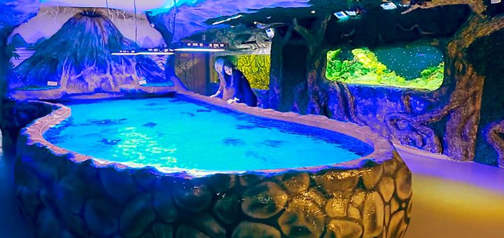 Акційна пропозиція на відвідування океанаріуму «Морська казка»