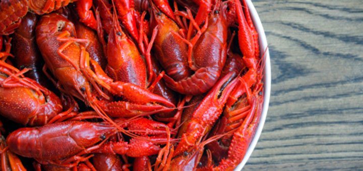 Доставка вареных раков «Crayfish» по Киеву и Киевской области. заказывайте раки к пиву по акции.