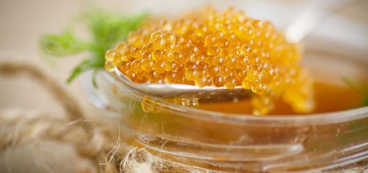 Discounts on pike caviar in the caviar house store