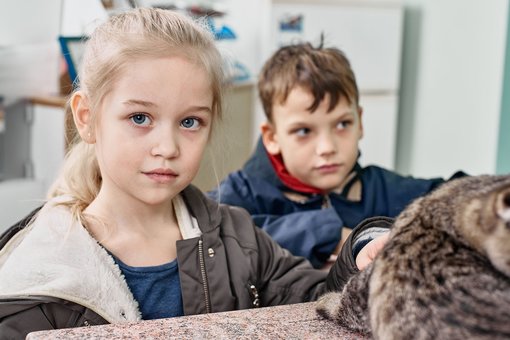 Майстер-клас з ветеринарії для дітей у ветеринарному центрі «Прохвіст» у Дніпрі. Записуйтесь за знижкою.