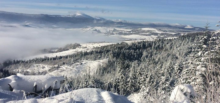 Скидки на отдых в усадьбе «Пикуй» в Закарпатье9