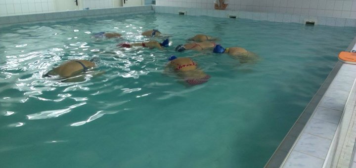 Discounts for visiting the dolphin pool