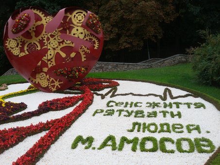 Виставка квітів у ландшафтному парку «Співоче поле» у Києві. Купуйте квитки за знижкою.