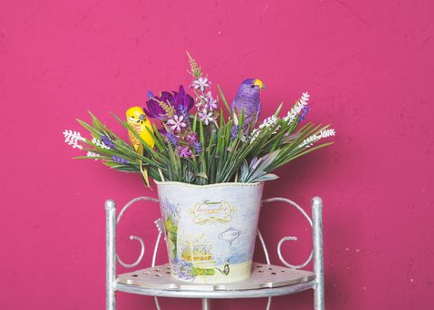 Весняна фотосесія у студії «Fresco studio» у Києві. Записуйтесь до фотографа за знижкою.