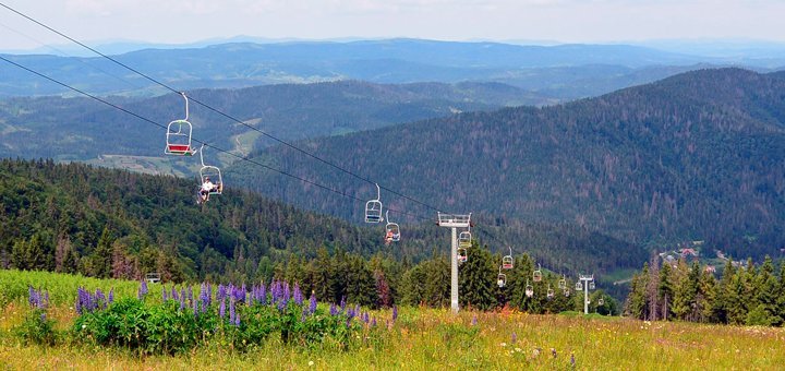 Знижки на відпочинок у готелі Трускавець 36517