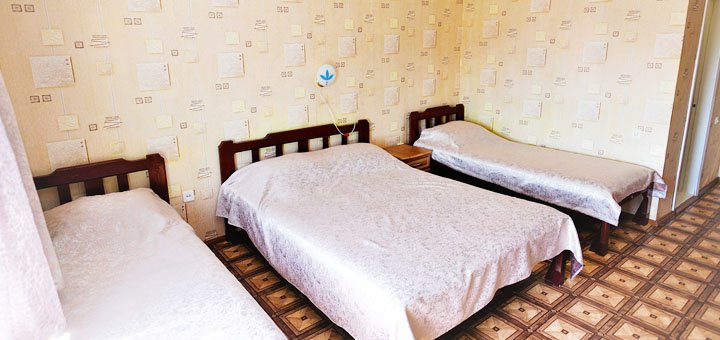 Hotel in Gribovka Irina 16