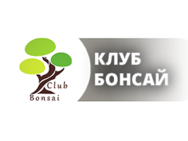 бонсай